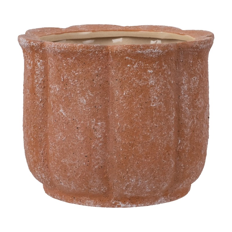 Aloe Vera Pot - 8in Terracotta Flower Planter Pot Ceramic