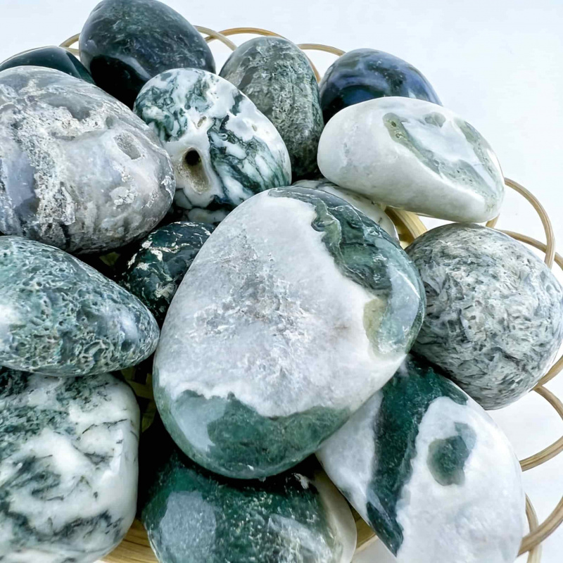 Natural Moss Agate Crushed Sto - Echeveria Succulent 리뷰 및 가격