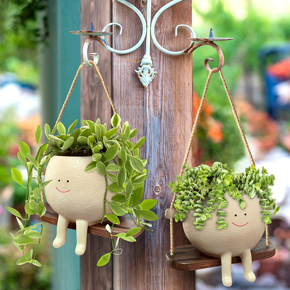 Plant Hanger Baskets Lovely Sw - Echeveria Succulent 리뷰 및 가격