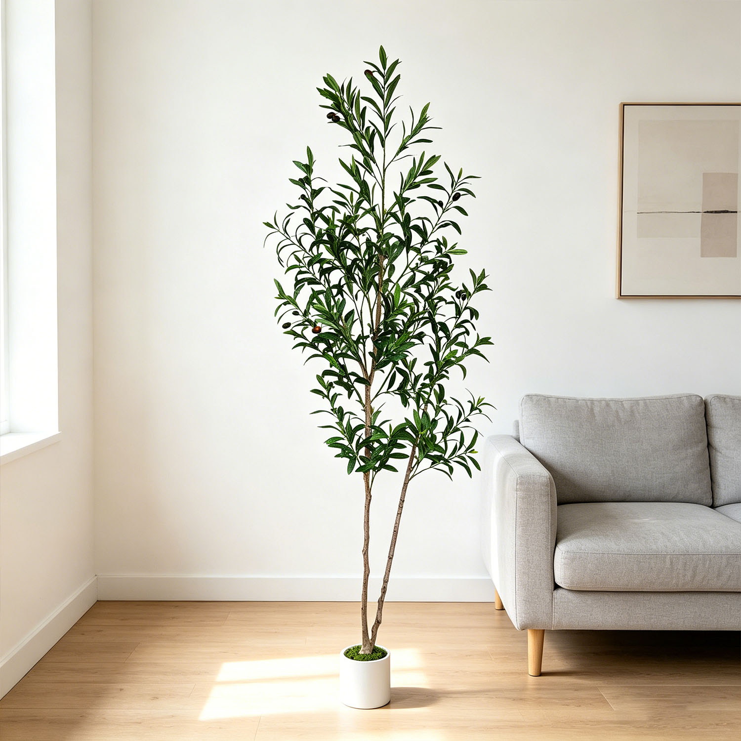 145Cm-175Cm/5.7Ft Artificial O - Dracaena Marginata 리뷰 및 가격
