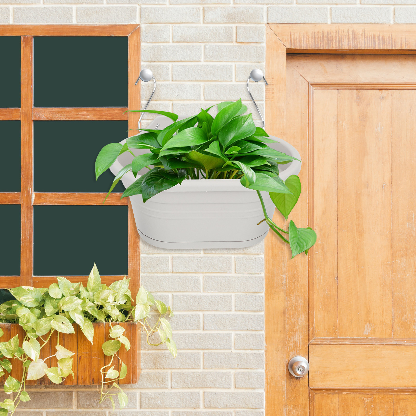 1Set Wall Hanging Flower Pot S - Spider Plant Hanging 리뷰 및 가격