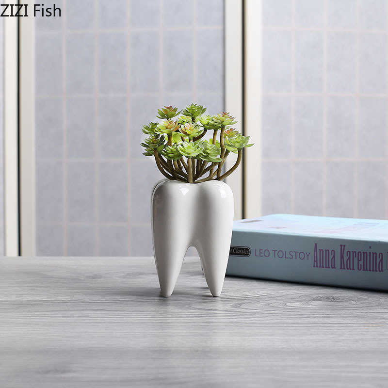 Tooth Shaped Ceramic Flower Po - Echeveria Succulent 리뷰 및 가격