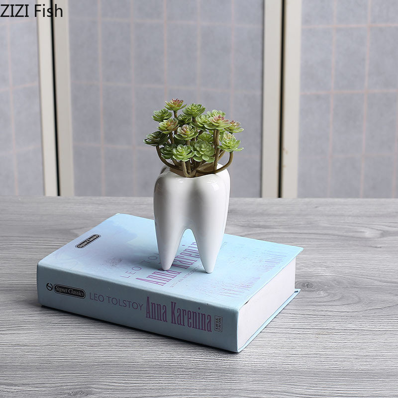 Tooth Shaped Ceramic Flower Po - Echeveria Succulent 리뷰 및 가격