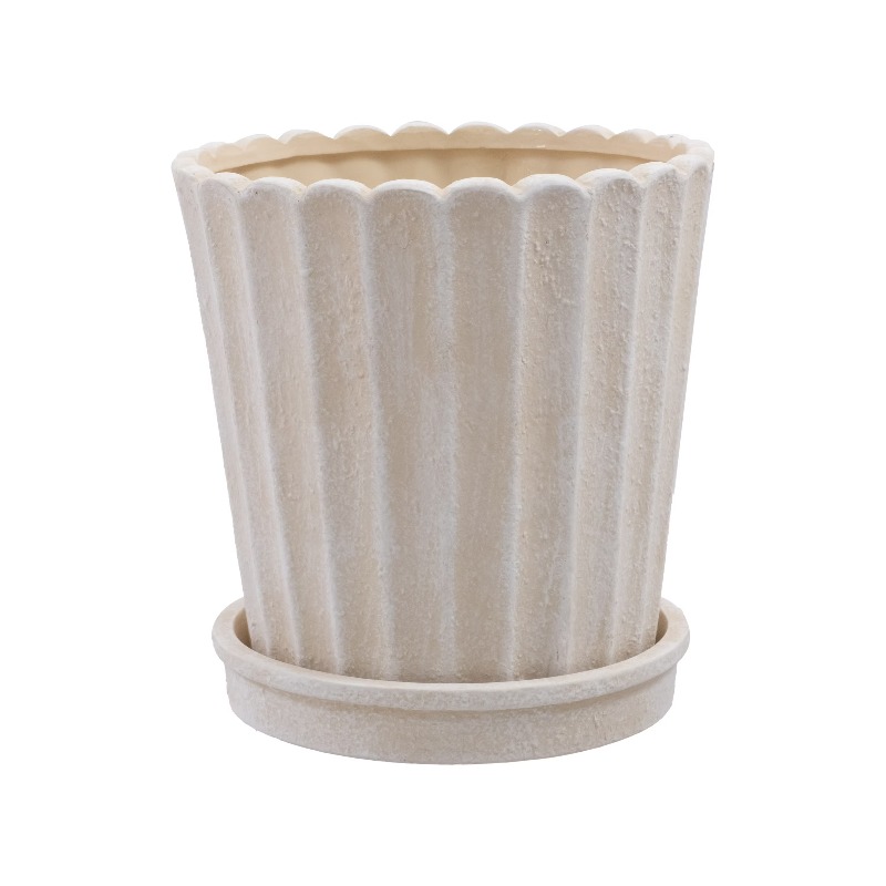 8 Inch Shell Planter Cream Cer - Aloe Vera Pot 리뷰 및 가격