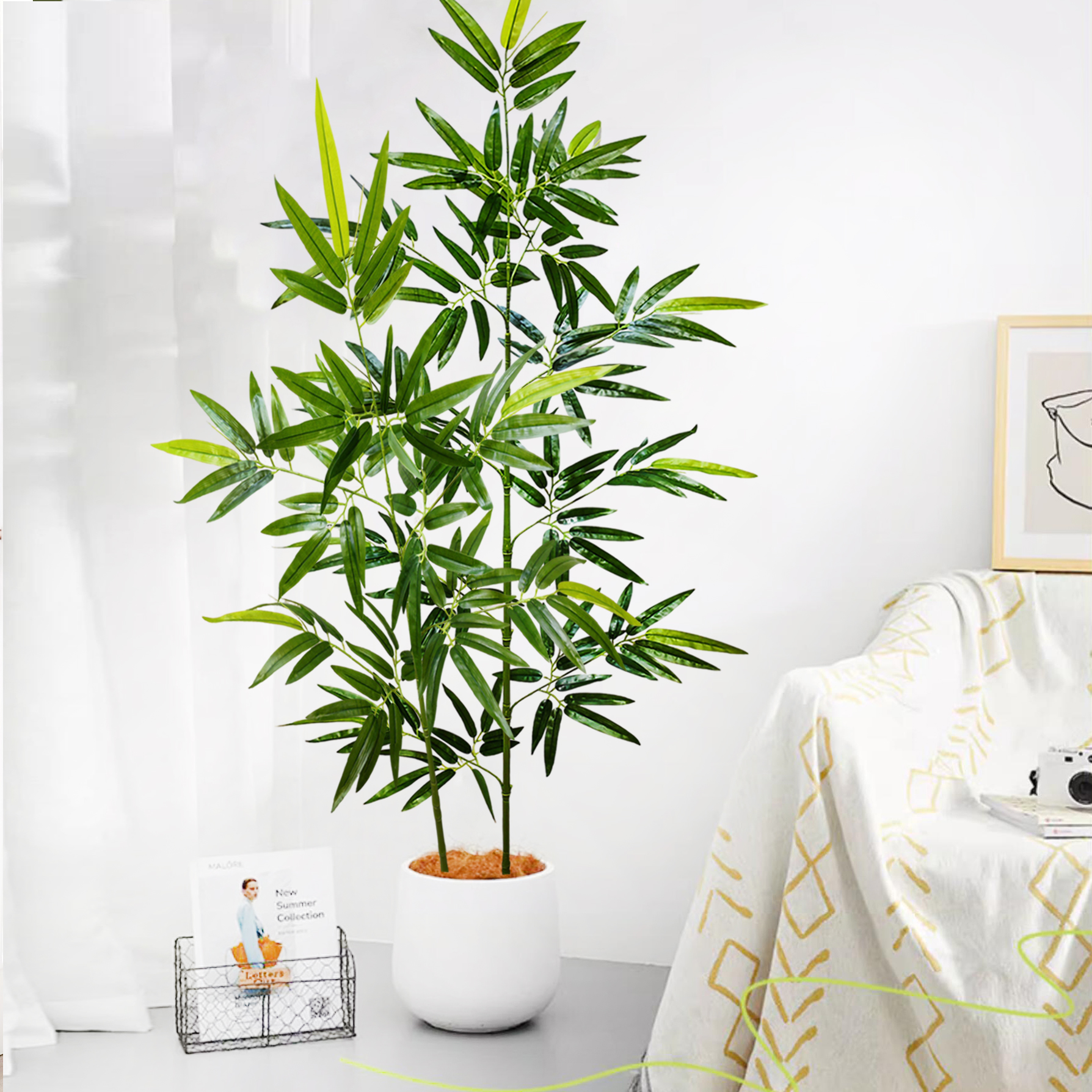 100-240cm/94.4in Artificial ba - Dracaena Marginata 리뷰 및 가격