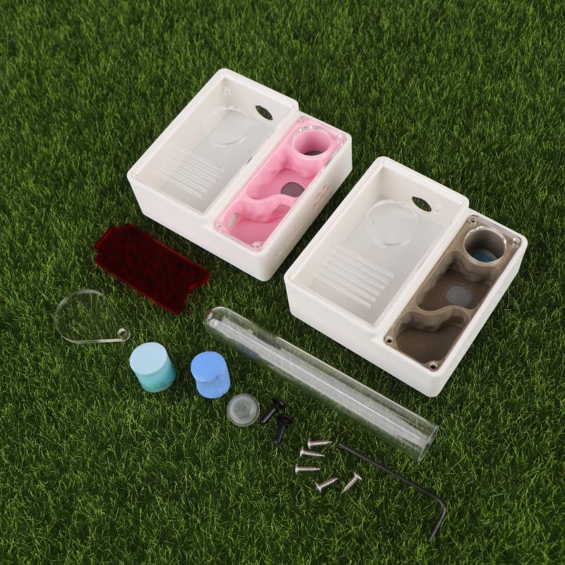 【Peace】3D Printed Ant Farm Que - Begonia Rex 리뷰 및 가격