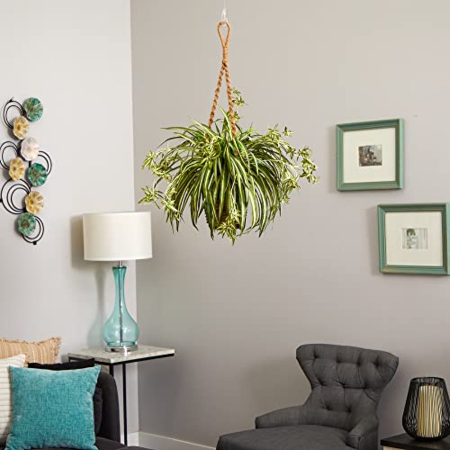 Spider Plant Hanging Basket - Spider Plant Hanging 리뷰 및 가격