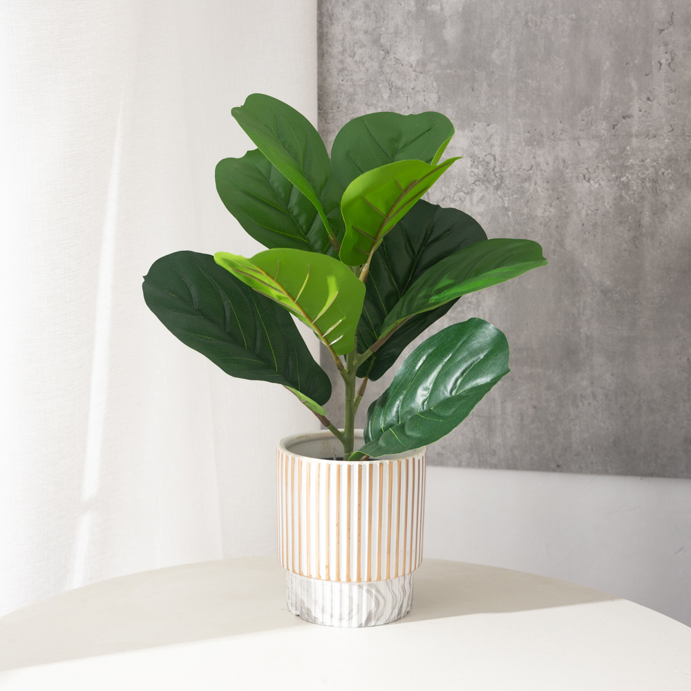 38cm 9 Forks Artificial Ficus  - Ficus Lyrata Tree 리뷰 및 가격