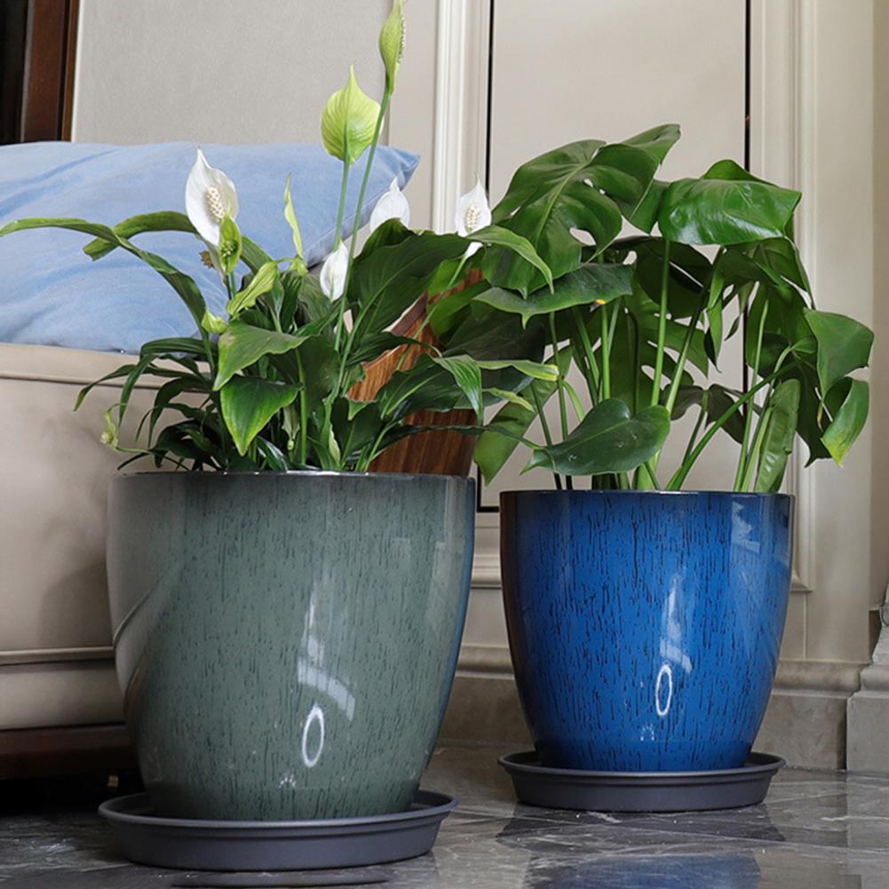 28cm Height Deep Flower Pot Im - Aloe Vera Pot 리뷰 및 가격