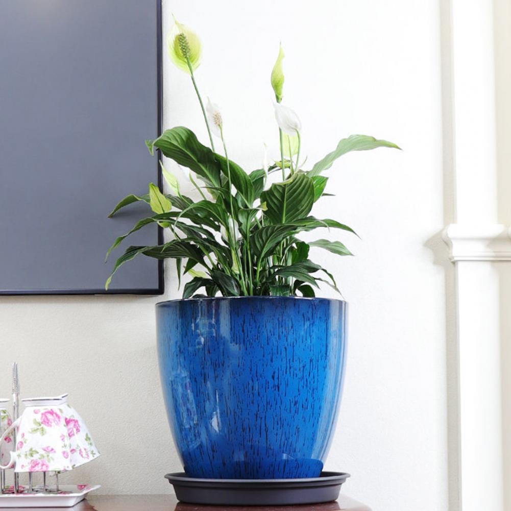 28cm Height Deep Flower Pot Im - Aloe Vera Pot 리뷰 및 가격