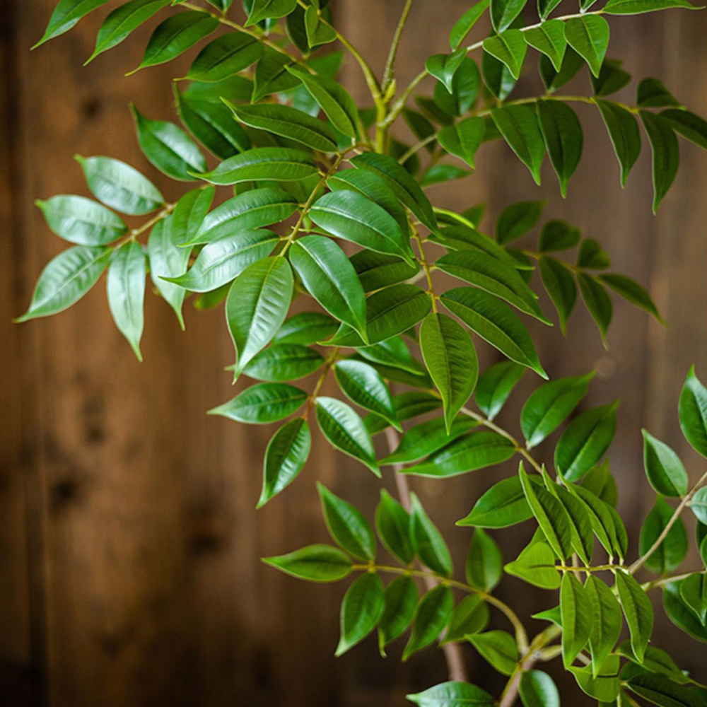 76-140cm Large Artificial Ficu - Ficus Lyrata Tree 리뷰 및 가격