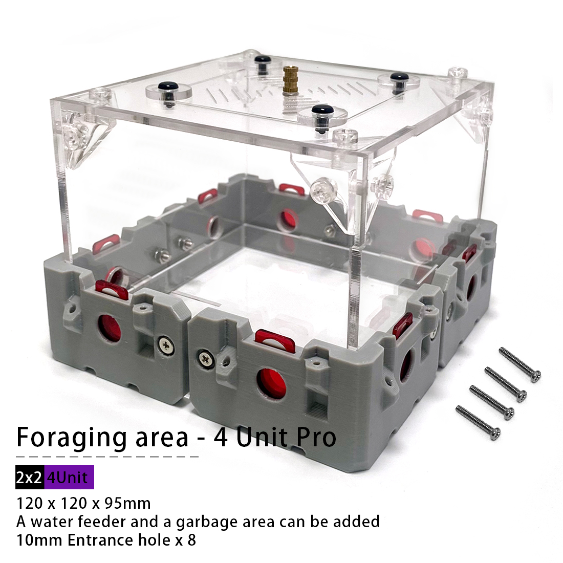 【Lego】Expandable Modular Formi - Begonia Rex 리뷰 및 가격