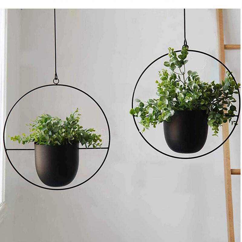 Hanging Iron Art Plant Pots Ba - Spider Plant Hanging 리뷰 및 가격