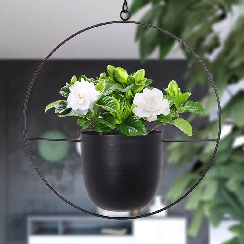 Hanging Iron Art Plant Pots Ba - Spider Plant Hanging 리뷰 및 가격