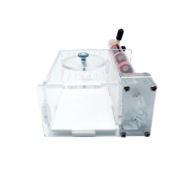 DIY Ant Farm 2 pcs 18-180mm Gy - Begonia Rex 리뷰 및 가격