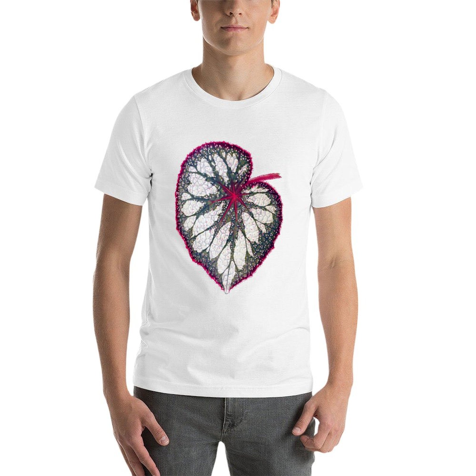 Begonia rex T-Shirt man graphi - Begonia Rex 리뷰 및 가격