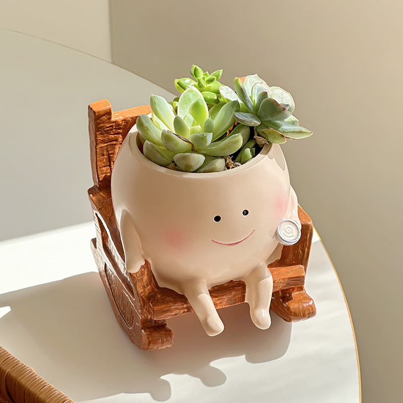 Stylish Cute Cartoon Ghost Res - Echeveria Succulent 리뷰 및 가격