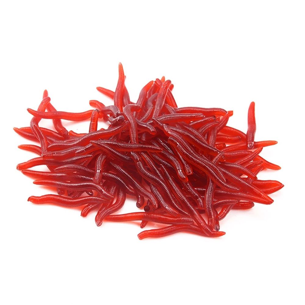 100pcs/Bottle Realistic Tackle - Aglaonema Red 리뷰 및 가격