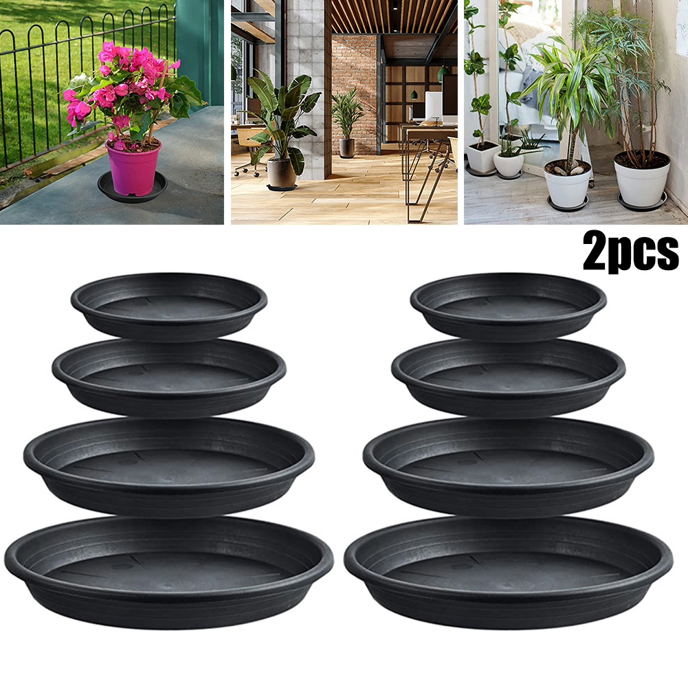 2pcs Plant Trays Round Succule - Echeveria Succulent 리뷰 및 가격