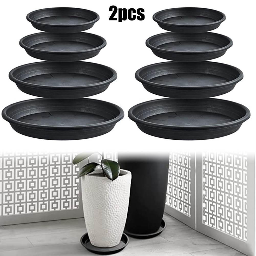 2pcs Plant Trays Round Succule - Echeveria Succulent 리뷰 및 가격