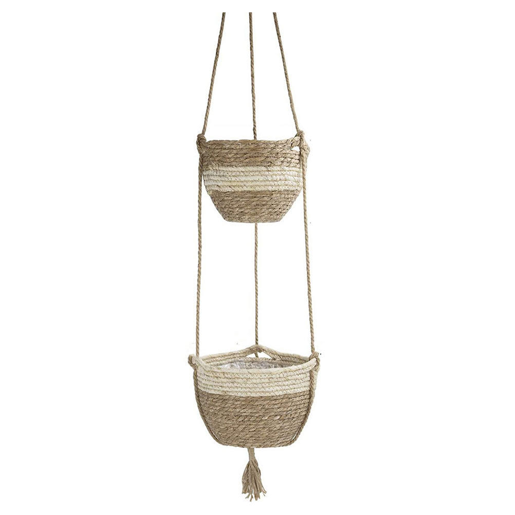 1Set Hanging Spider Plant Pot  - Spider Plant Hanging 리뷰 및 가격
