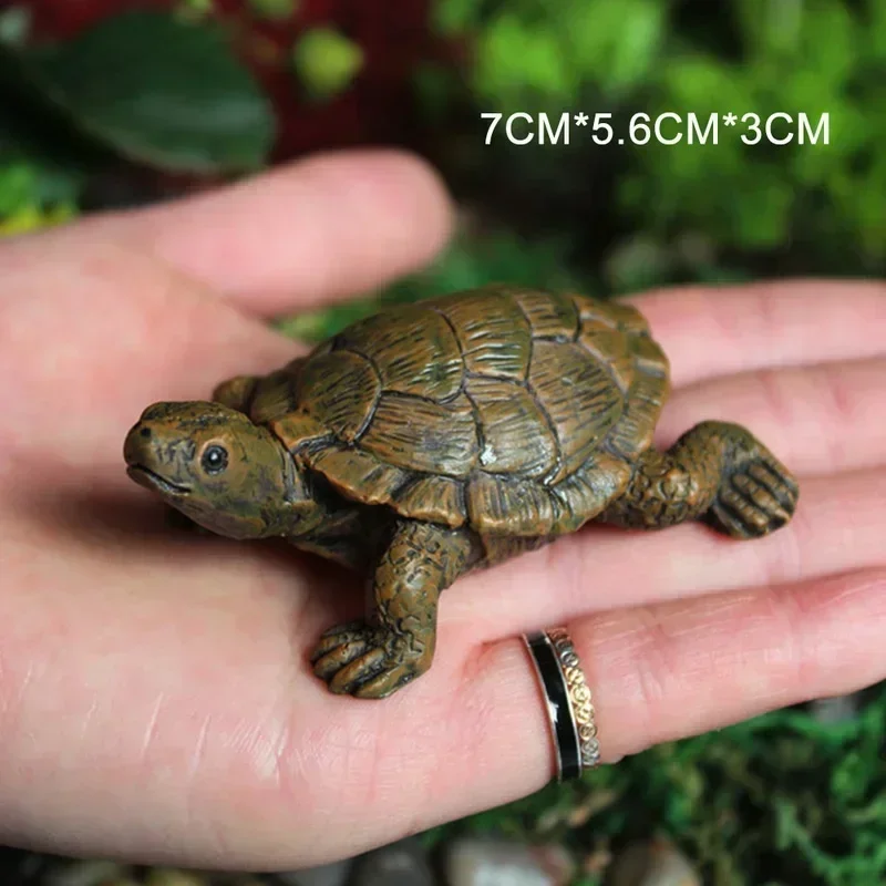 Simulation of Small Turtle Res - Echeveria Succulent 리뷰 및 가격
