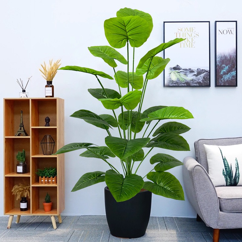 115cm Giant Artificial Plants  - Dracaena Marginata 리뷰 및 가격