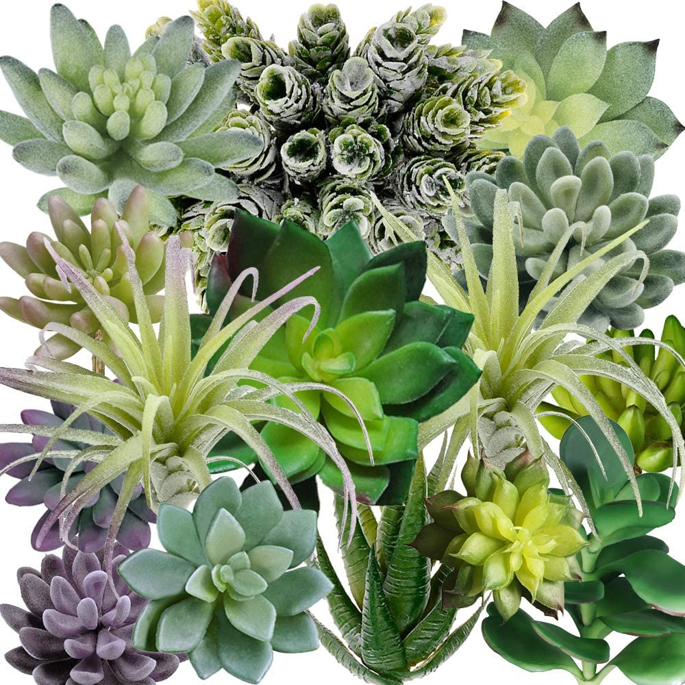15 Pack Assorted Artificial Su - Echeveria Succulent 리뷰 및 가격