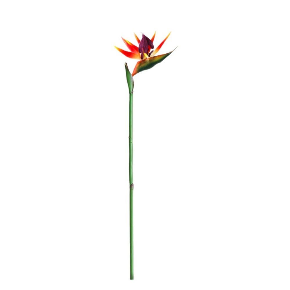 Long Stem Artificial Bird of P - Bird Paradise Strelitzia 리뷰 및 가격