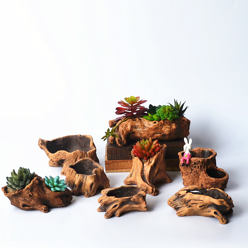Imitation Wooden Stakes Tree R - Echeveria Succulent 리뷰 및 가격