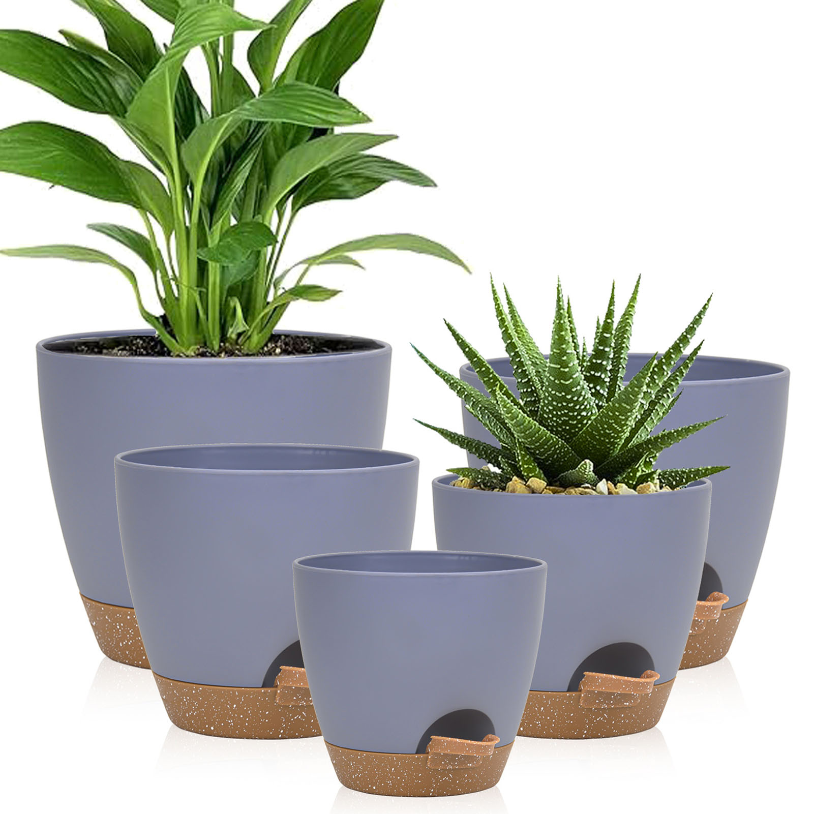 5piece Indoor Flower Pots With - Aloe Vera Pot 리뷰 및 가격