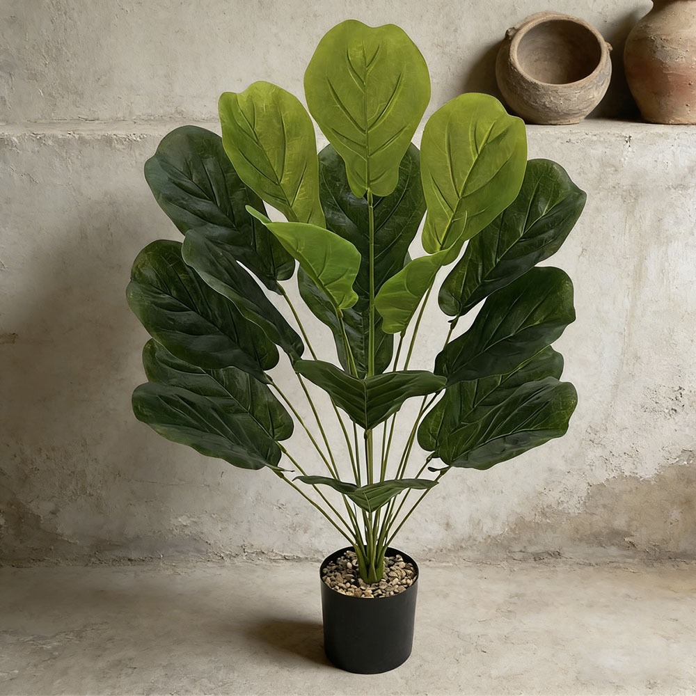 1pc of 75cm Artificial Ficus L - Ficus Lyrata Tree 리뷰 및 가격