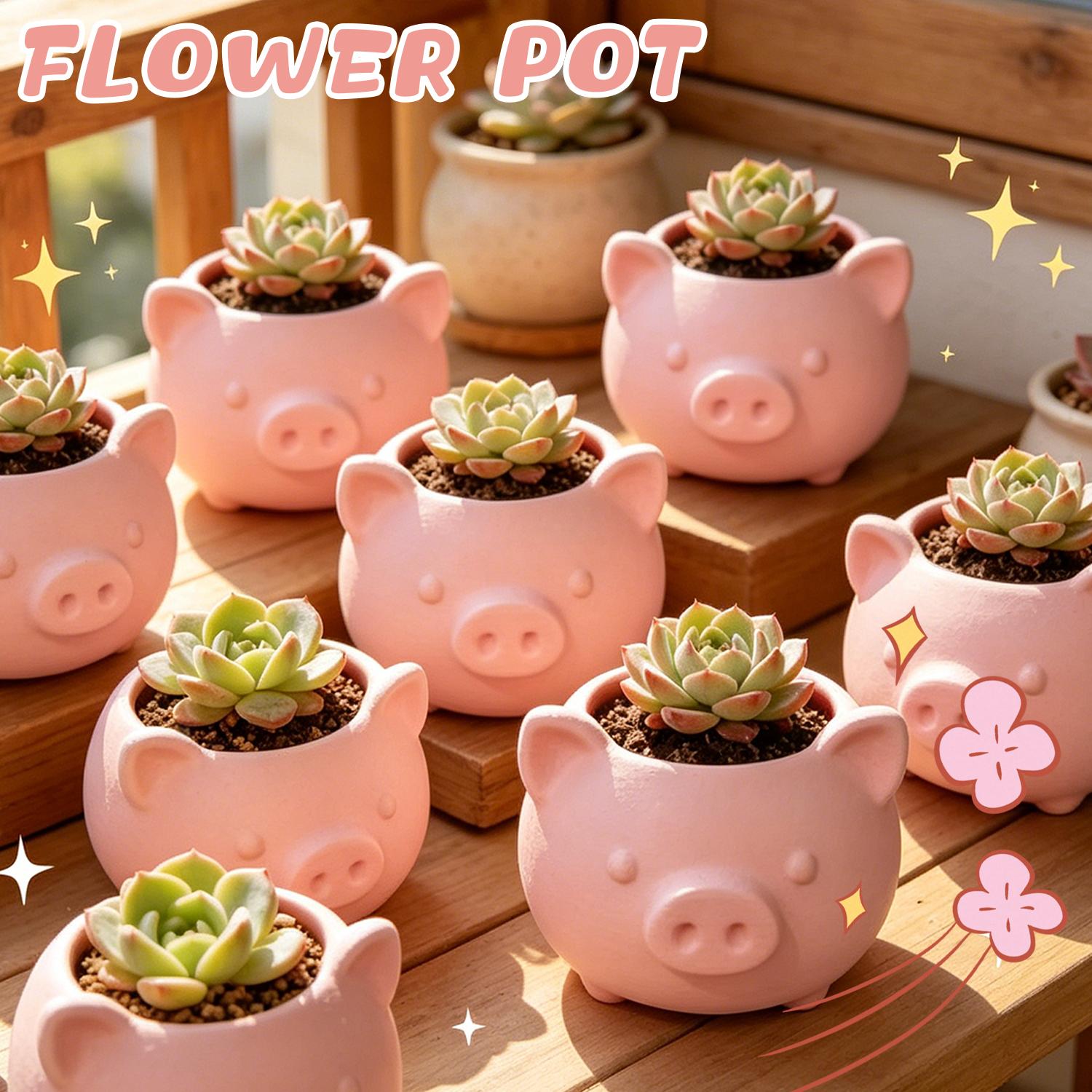 10/1pcs 3D Printed Creative Pi - Echeveria Succulent 리뷰 및 가격
