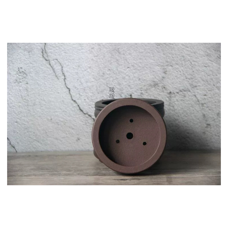 Ceramic Circle Bonsai Pot,Plat - Pilea Peperomioides 리뷰 및 가격