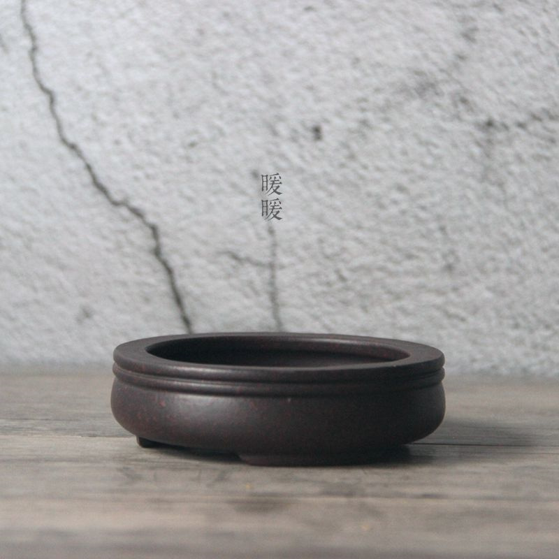 Ceramic Circle Bonsai Pot,Plat - Pilea Peperomioides 리뷰 및 가격