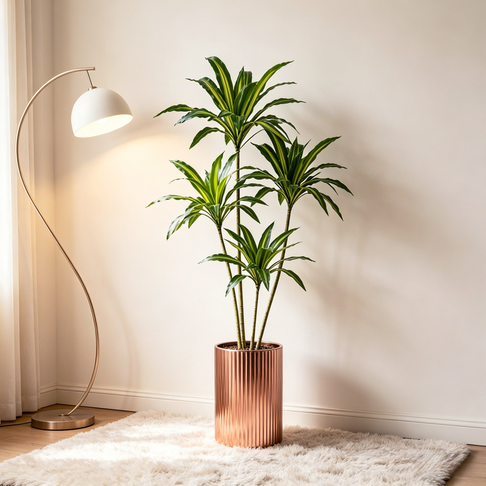 80-165cm Large Artifcial Draca - Dracaena Marginata 리뷰 및 가격
