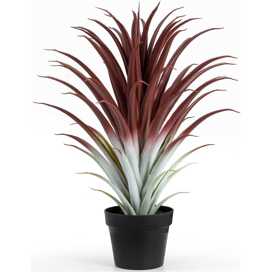 Hyper Realistic Big Red Artifi - Aloe Vera Pot 리뷰 및 가격