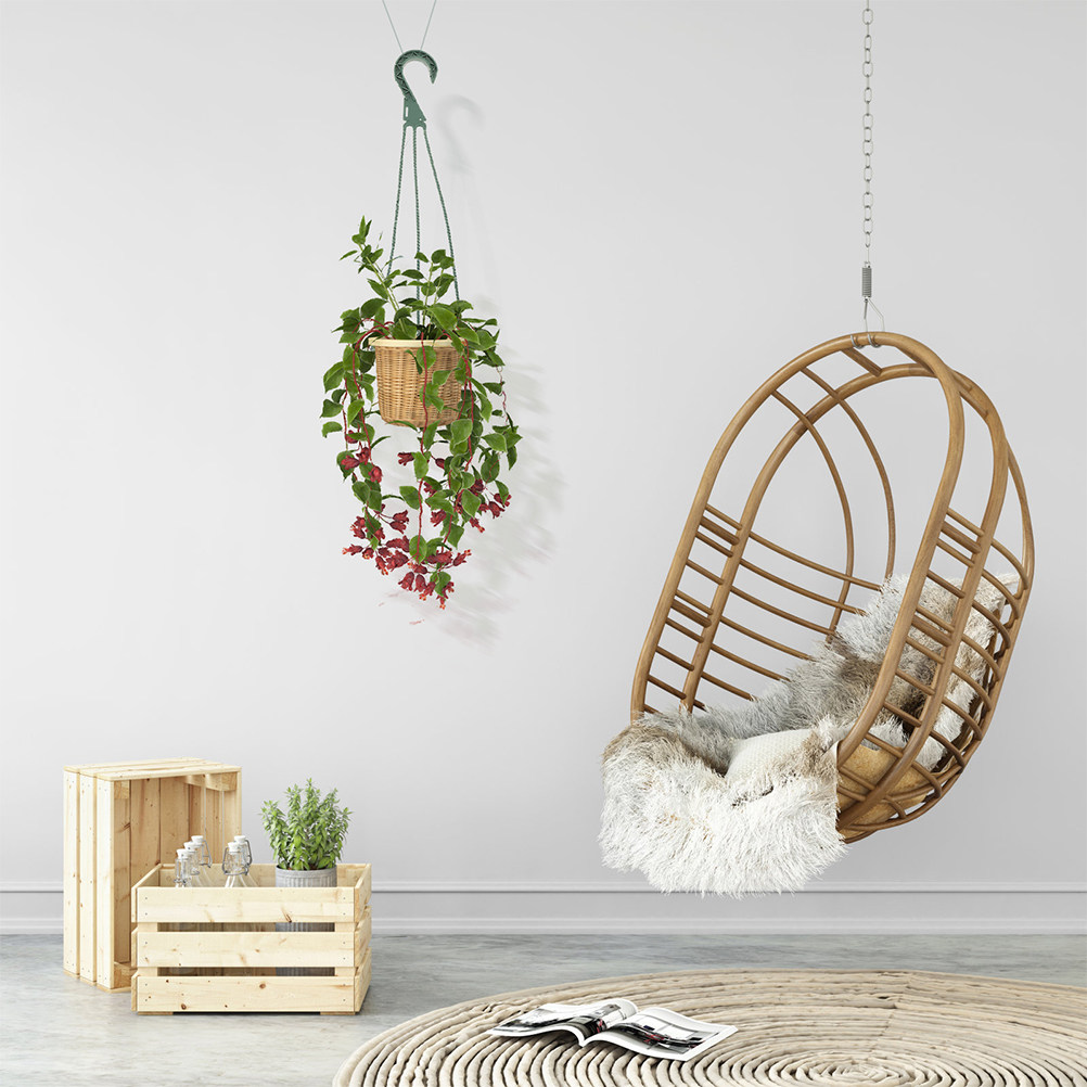5Pcs Hanging Planter Hooks Set - Spider Plant Hanging 리뷰 및 가격
