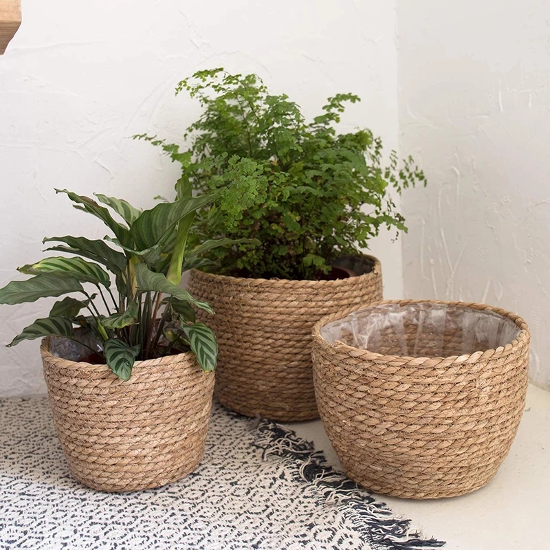 Straw Weaving Flower Plant Pot - Aloe Vera Pot 리뷰 및 가격