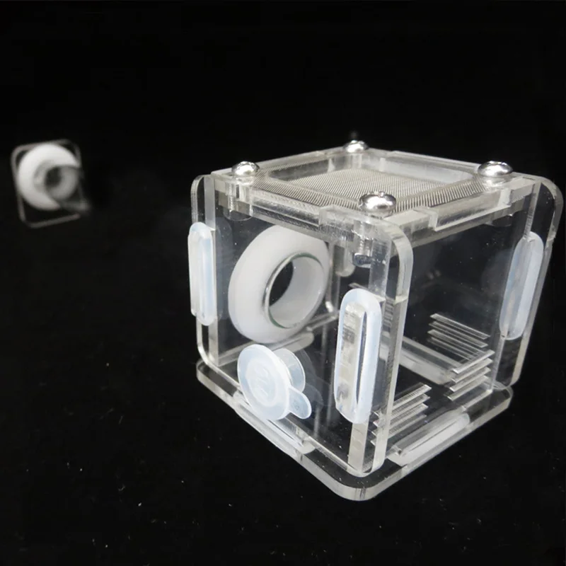 DIY Various Size Ant Farm Bamb - Begonia Rex 리뷰 및 가격