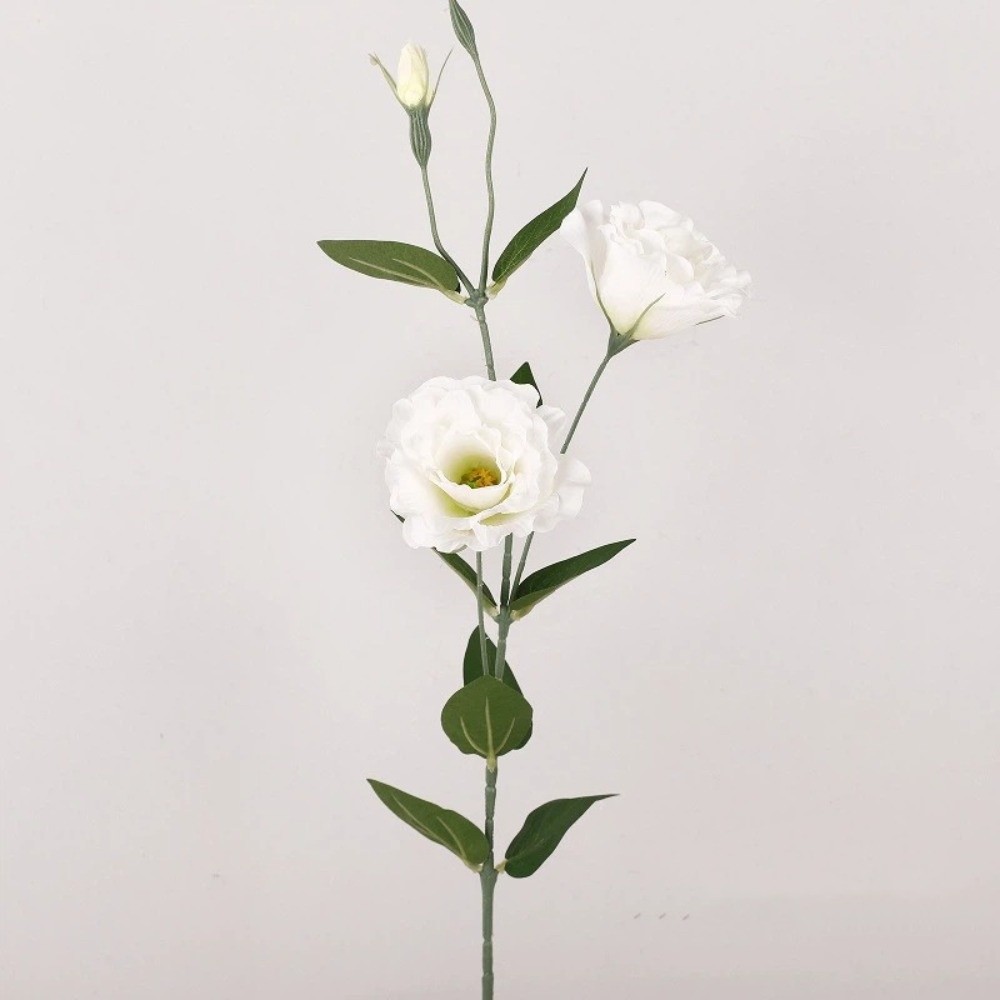 Platycodon Flower Artificial B - Ficus Lyrata Tree 리뷰 및 가격