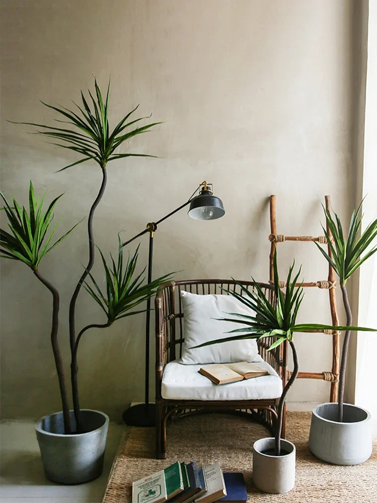 Simulation Plant Dracaena Marg - Dracaena Marginata 리뷰 및 가격