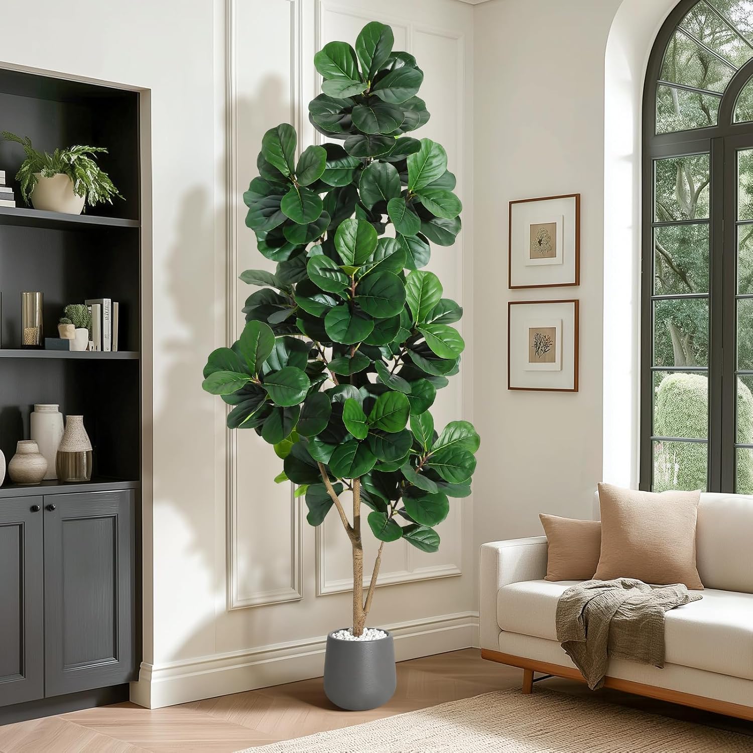 4FT/5FT/6FT/7FT Fiddle Leaf Fi - Ficus Lyrata Tree 리뷰 및 가격