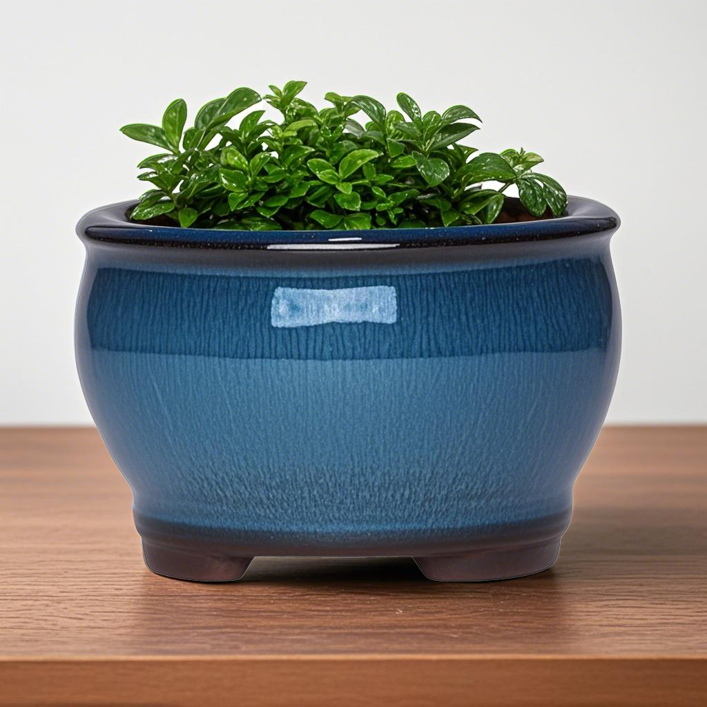 Ceramic Garden Planter Pots Ce - Aloe Vera Pot 리뷰 및 가격