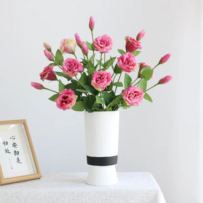 10Pcs/lot Moisturizing 2Head E - Ficus Lyrata Tree 리뷰 및 가격