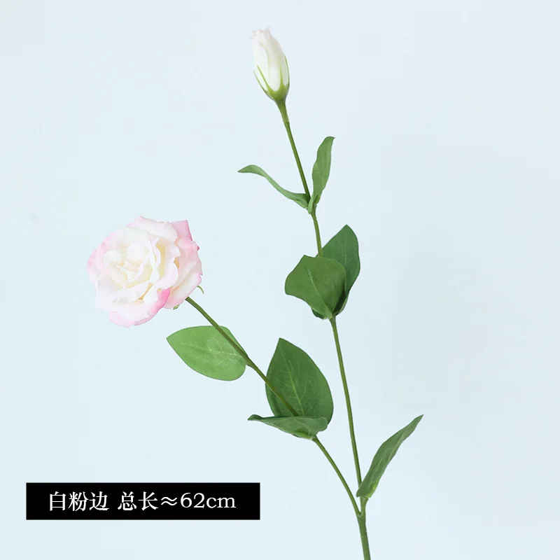 10Pcs/lot Moisturizing 2Head E - Ficus Lyrata Tree 리뷰 및 가격