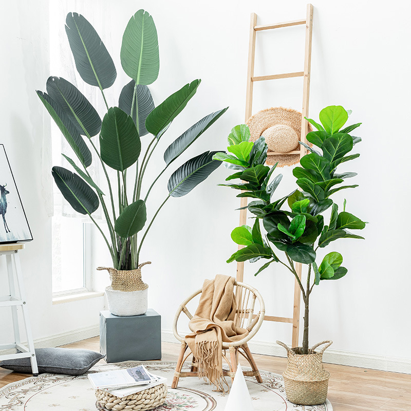 Simulation Palm Tree Artificia - Ficus Lyrata Tree 리뷰 및 가격