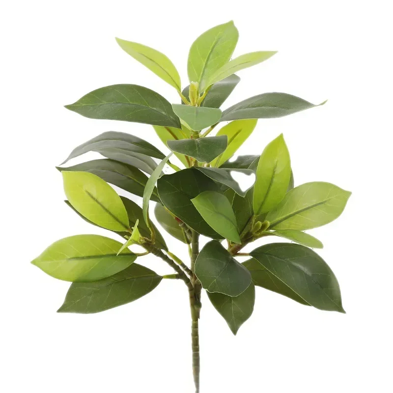 Plastic Artificial Color-chang - Dracaena Marginata 리뷰 및 가격