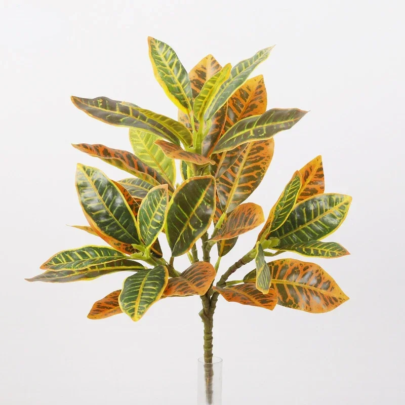 Plastic Artificial Color-chang - Dracaena Marginata 리뷰 및 가격