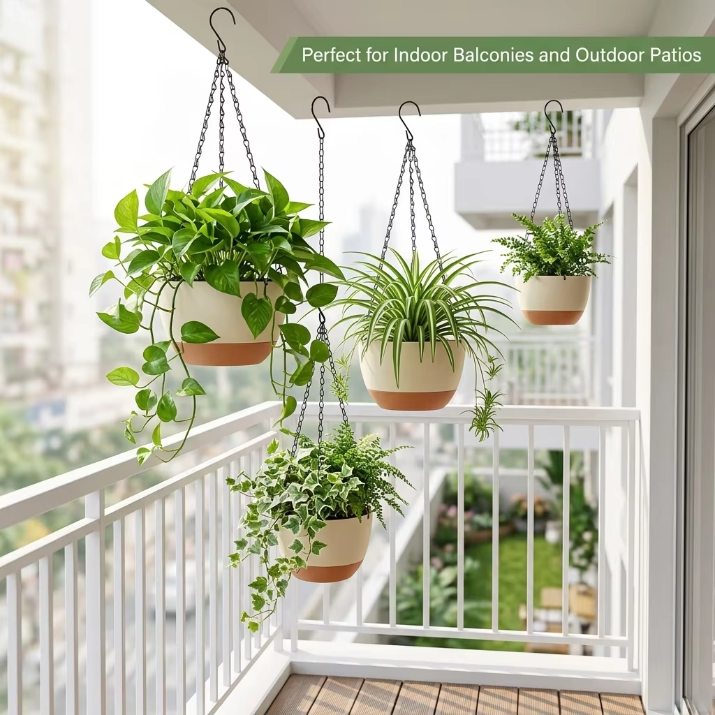 Modern Everyday Dual-Color Han - Spider Plant Hanging 리뷰 및 가격